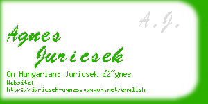 agnes juricsek business card